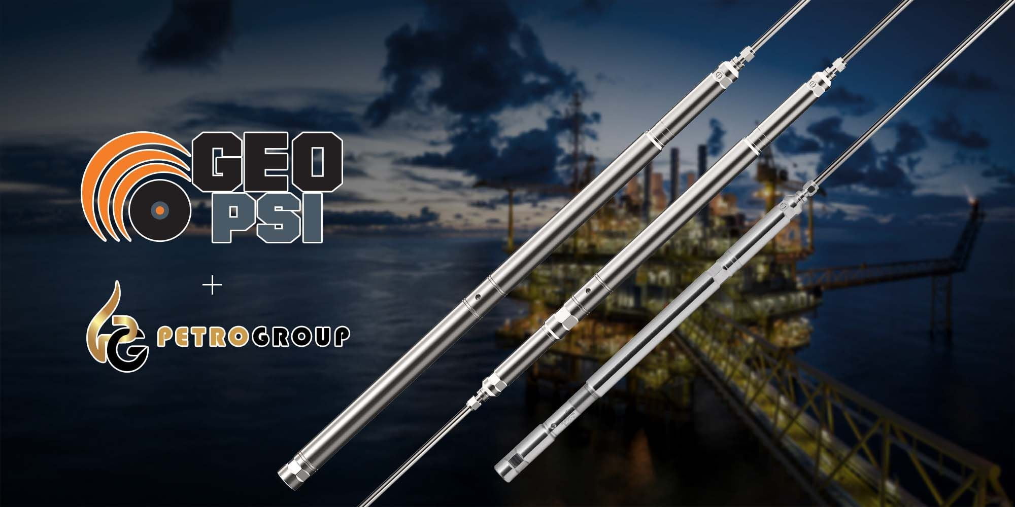 Permanent Downhole Gauge PetroGroup